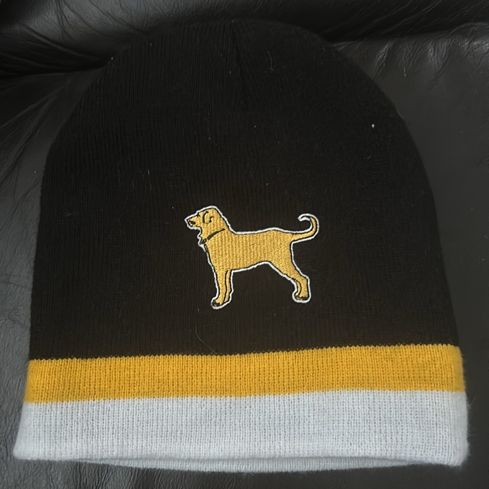 Black and Gold the Black Dog Bruins Beanie
